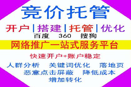 百度推广成功案例：打造行业领军品牌之路