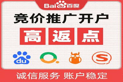 揭秘百度竞价代理：实战案例分析